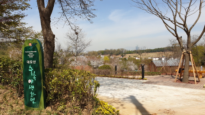 강남구청 블러그에서 다운받은 사진.jpg